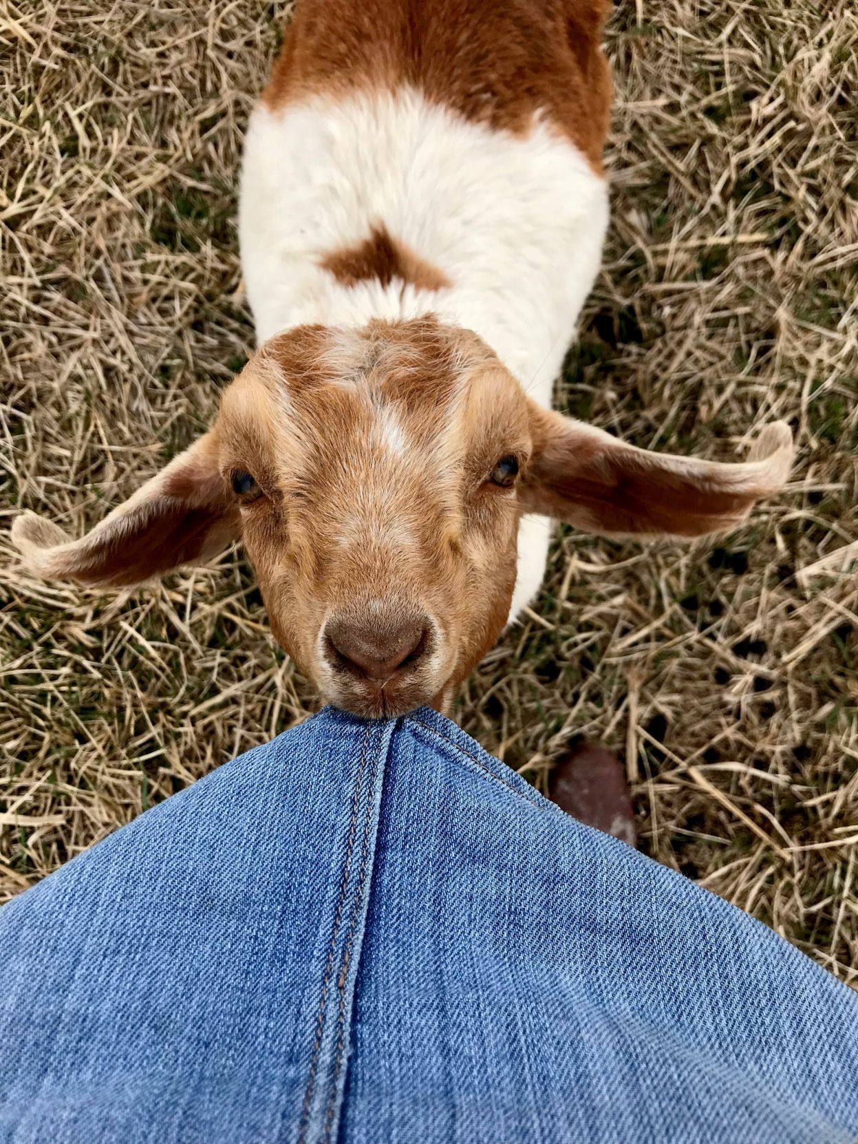 Oh, hey, I didn't see you there!